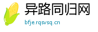 异路同归网